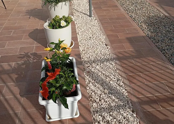 Apartment Casa Pipere *