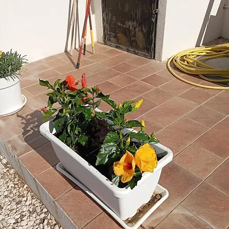 Casa Pipere * Santa Lucia (Sardinia)