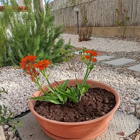 Casa Pipere Santa Lucia (Sardinia)