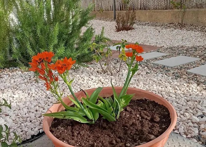Casa Pipere Santa Lucia (Sardinia)
